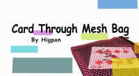 Card Through Mesh Bag by Higpon
