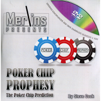 Poker Chip Prophesy by Steve Cook