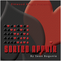 Sorted Affair 2016 by Sean Bogunia presented by Matt Johnson