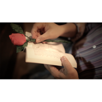 The Saint-Exerpury Rose by Vincent Mendoza and Lost Art Magic